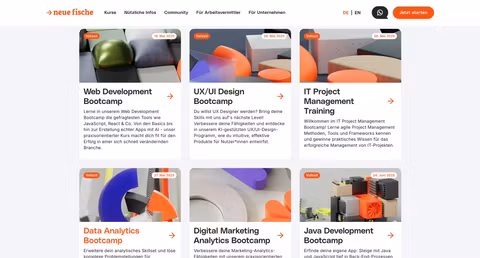 screenshot of neue fische website showing courses